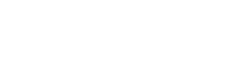 plugnpl.ai